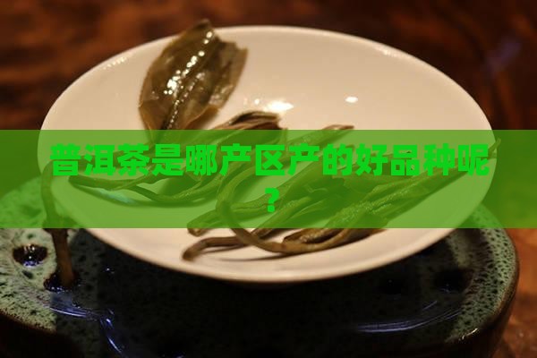 普洱茶是哪产区产的好品种