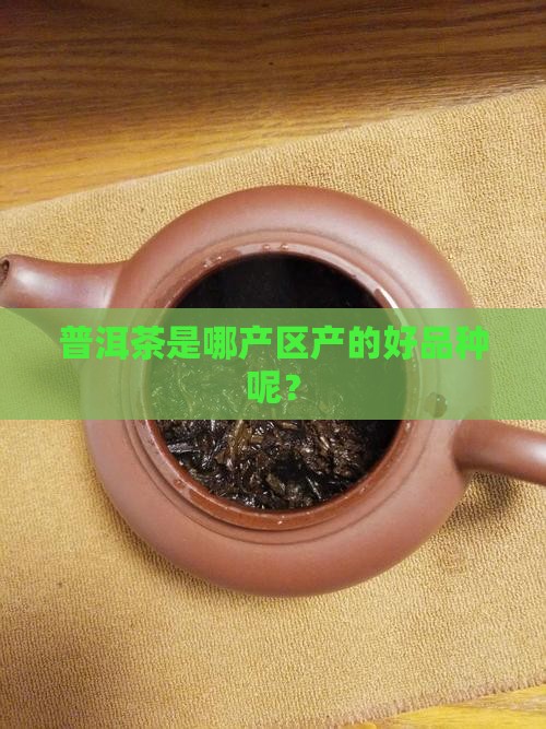 普洱茶是哪产区产的好品种