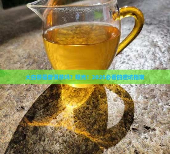 大白茶是不是普洱茶
