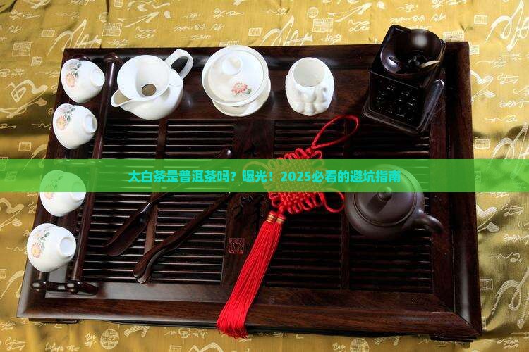 大白茶是不是普洱茶