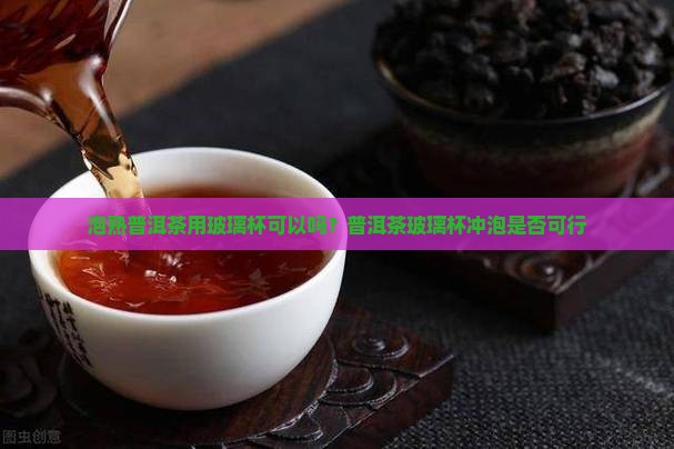 泡熟普洱茶用玻璃杯可以吗