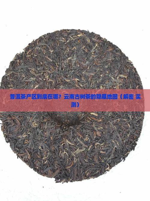 普洱茶产区一般在哪里