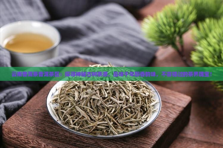 云南普洱茶普洱茶区