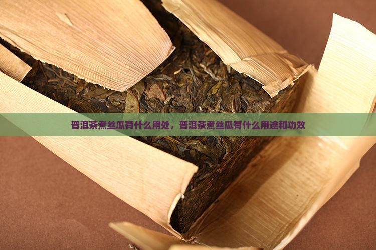 普洱茶煮丝瓜有什么用