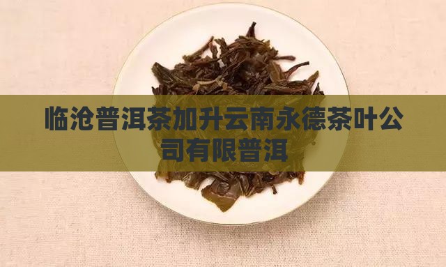 临沧普洱茶创始人是谁啊