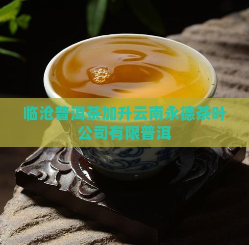 临沧普洱茶创始人是谁啊