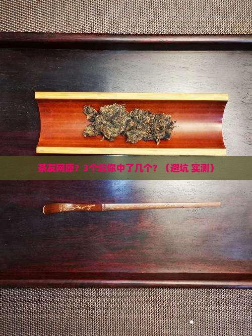 茶友网原普洱茶网