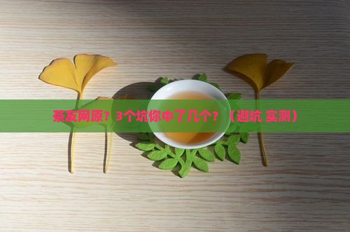 茶友网原普洱茶网