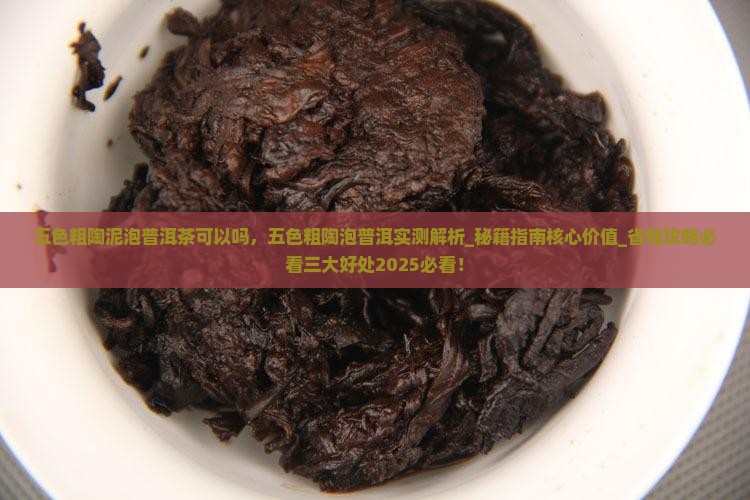 五色粗陶泥泡普洱茶可以吗