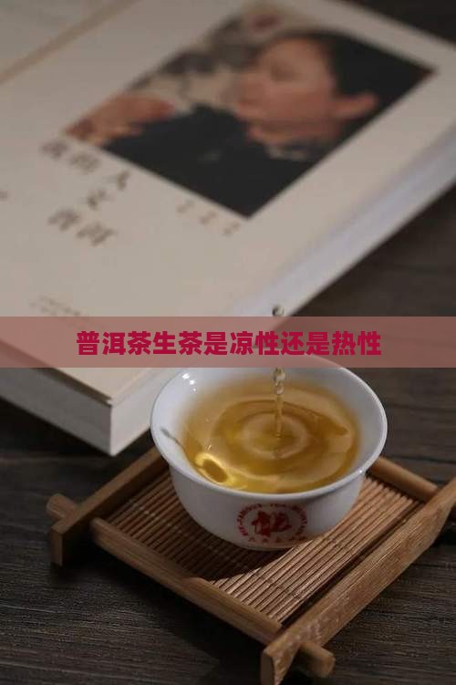 普洱茶生茶是凉性还是热性
