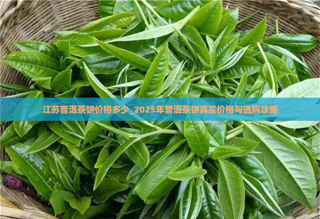 江苏普洱茶饼价格多少