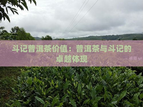 斗记普洱茶品牌价值