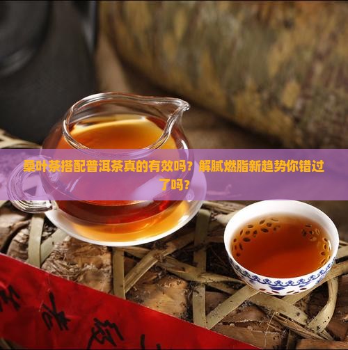 桑叶茶搭配普洱茶