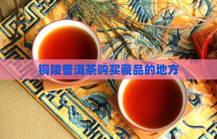 铜陵普洱茶购买藏