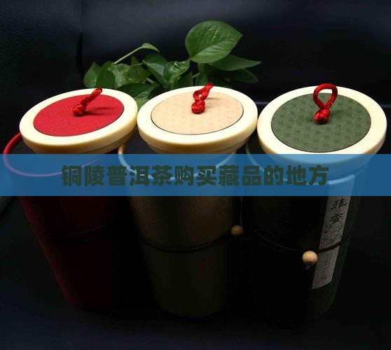 铜陵普洱茶购买藏
