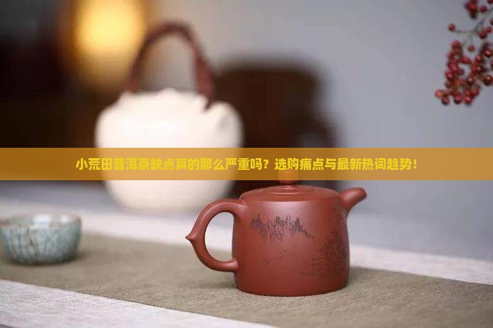 小荒田普洱茶缺点