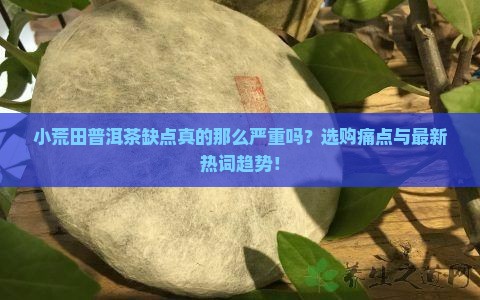 小荒田普洱茶缺点