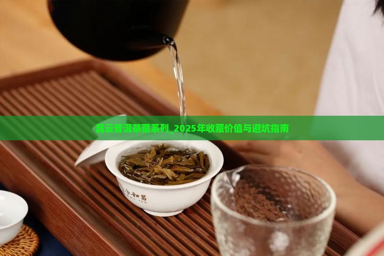 昌云普洱茶藏系列