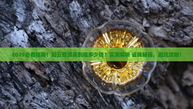 如云普洱茶多少钱