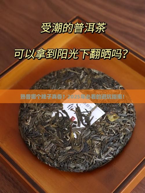 熟普那个牌子的好