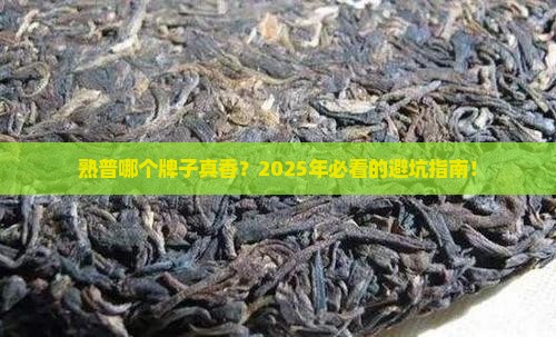 熟普那个牌子的好
