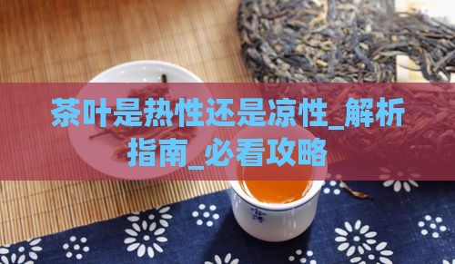 茶叶是热性还是凉性