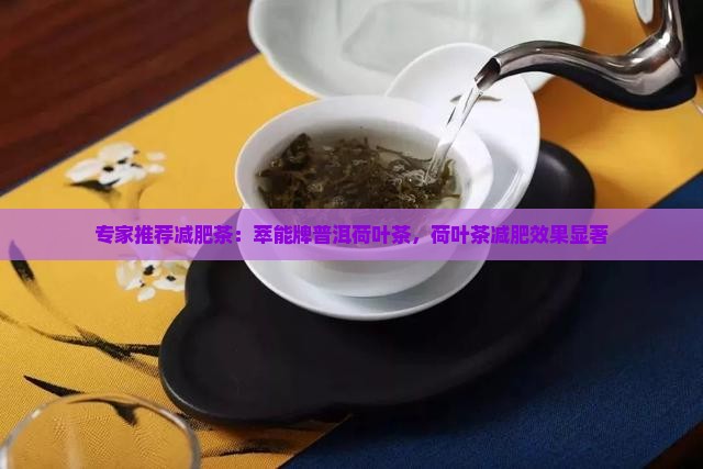 萃能牌普洱荷叶减肥茶