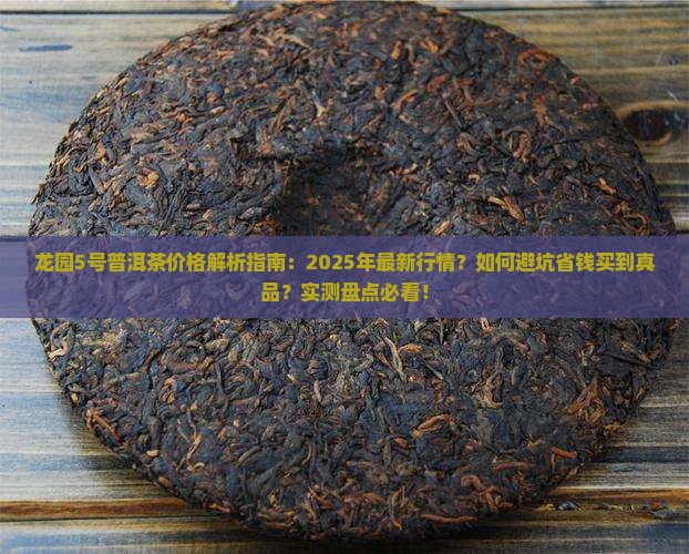 龙园5号普洱茶多少钱