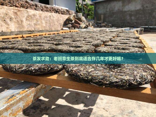茶友求助：老班章生茶到底适合存几年才更好喝？