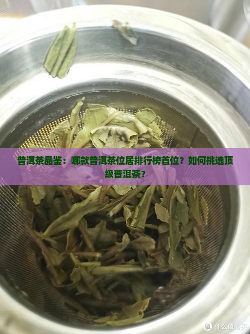 普洱茶品鉴：哪款普洱茶位居排行榜首位？如何挑选顶级普洱茶？