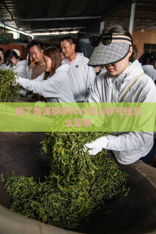 喝了普洱茶手抖心慌心悸气短怎么回事