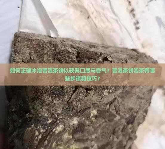 如何正确冲泡普洱茶饼以获得口感与香气？普洱茶饼泡茶有哪些步骤和技巧？