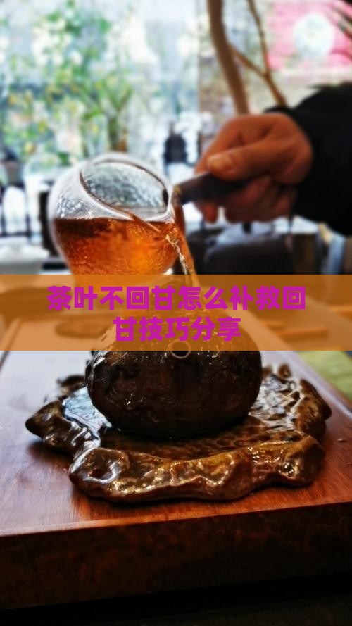 茶叶不回甘怎么补救回甘技巧分享