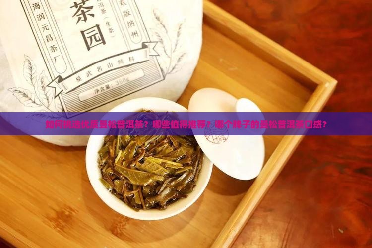 如何挑选优质曼松普洱茶？哪些值得推荐？哪个牌子的曼松普洱茶口感？