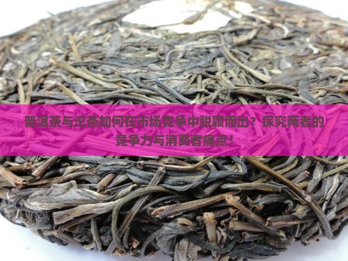 普洱茶与沱茶如何在市场竞争中脱颖而出？探究两者的竞争力与消费者痛点！