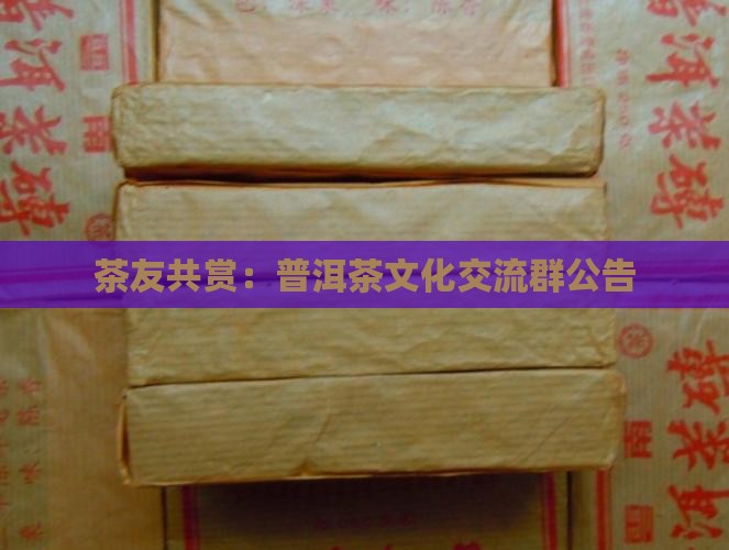 茶友共赏：普洱茶文化交流群公告