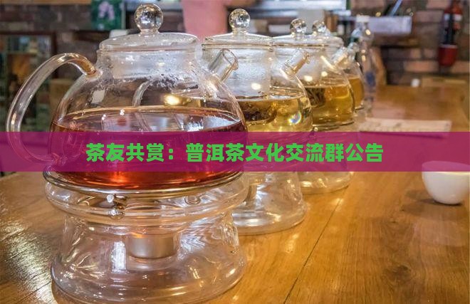 茶友共赏：普洱茶文化交流群公告