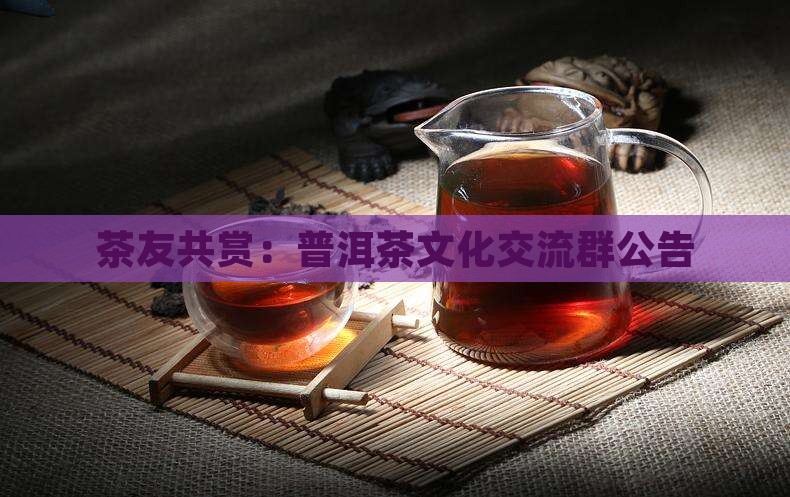 茶友共赏：普洱茶文化交流群公告