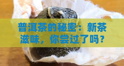 普洱茶的秘密：新茶滋味，你尝过了吗？