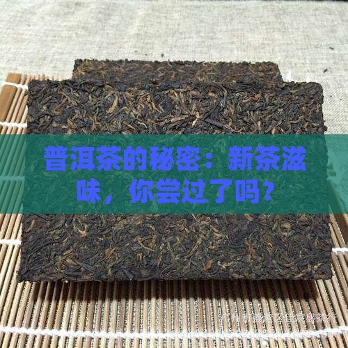 普洱茶的秘密：新茶滋味，你尝过了吗？