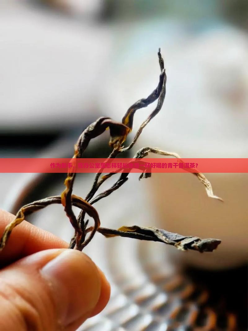 作为新手，在办公室里怎样轻松地泡一杯好喝的青干普洱茶？