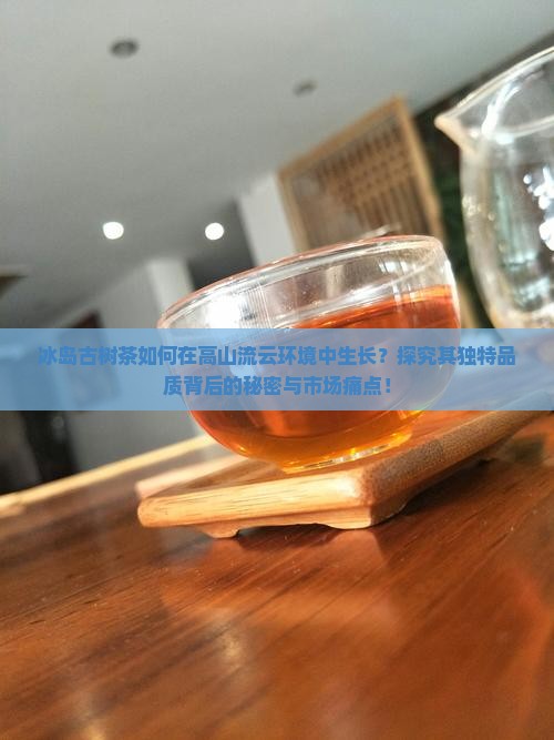 冰岛古树茶如何在高山流云环境中生长？探究其独特品质背后的秘密与市场痛点！