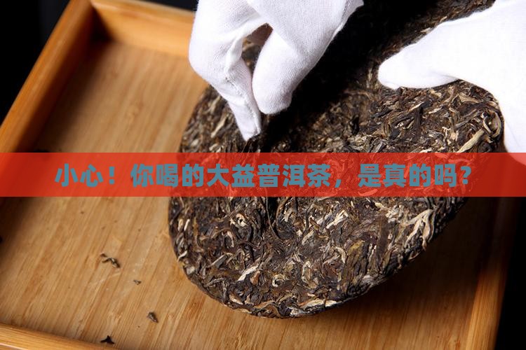 小心！你喝的大益普洱茶，是真的吗？
