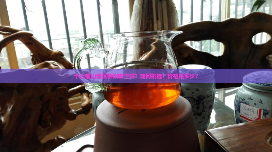 十大茶山普洱茶饼哪个好？如何挑选？价格是多少？