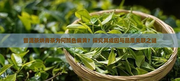 普洱茶烘青茶为何颜色偏黄？探究其成因与品质关联之谜