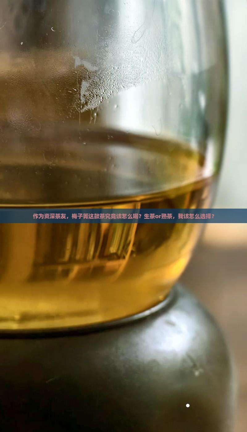 作为资深茶友，梅子箐这款茶究竟该怎么喝？生茶or熟茶，我该怎么选择？