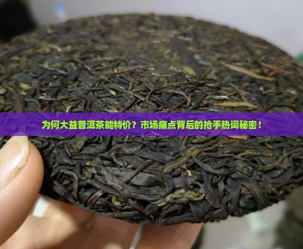 为何大益普洱茶能特价？市场痛点背后的抢手热词秘密！