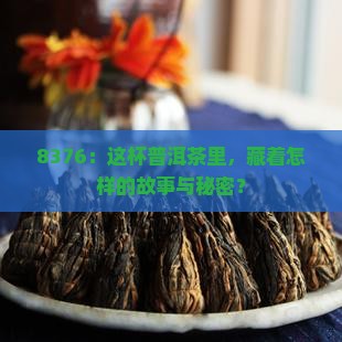 8376：这杯普洱茶里，藏着怎样的故事与秘密？