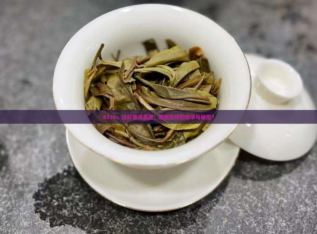 8376：这杯普洱茶里，藏着怎样的故事与秘密？