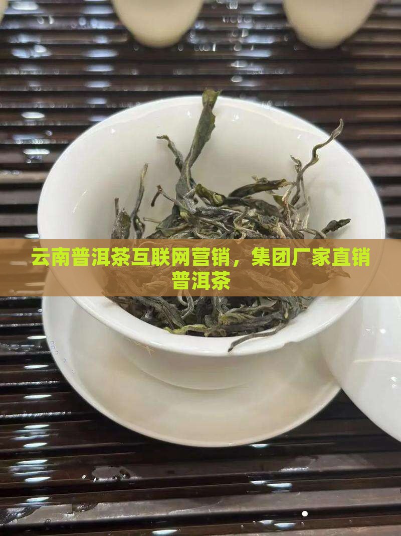 云南普洱茶互联网营销，集团厂家直销普洱茶